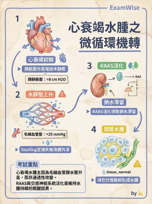 專師 - 心衰竭 - AI 圖文解析預覽