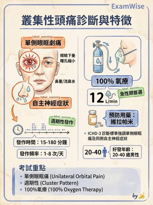 專師 - 腦神經檢查與神經學評估 - AI 圖文解析預覽