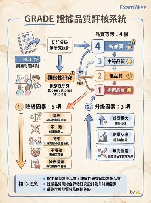 專師 - 文獻評讀與證據等級 - AI 圖文解析預覽