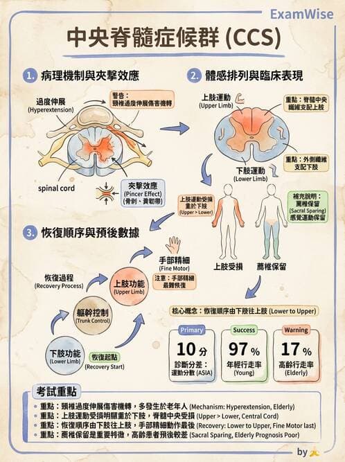 專師 - 頭部外傷與顱內壓 - AI 圖文解析預覽