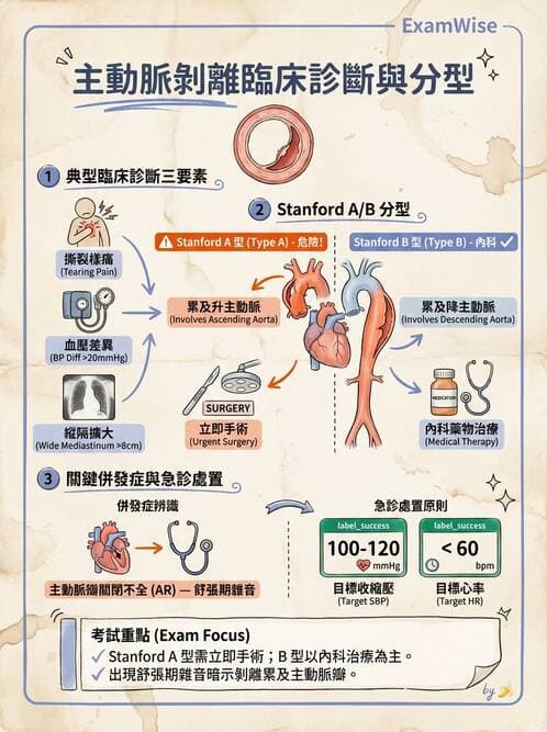 專師 - 主動脈疾病 - AI 圖文解析預覽