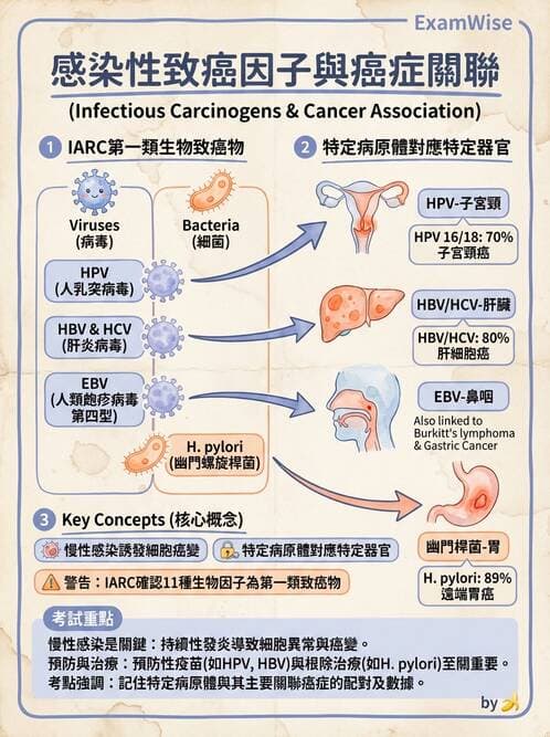 專師 - 肺癌與消化道癌 - AI 圖文解析預覽