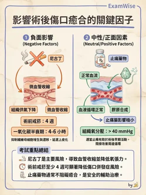 專師 - 傷口敷料與照護 - AI 圖文解析預覽