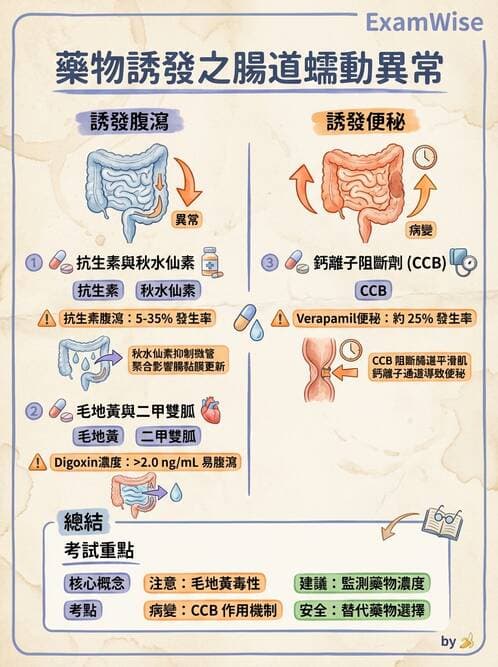專師 - 腹部評估與急腹症 - AI 圖文解析預覽