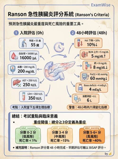 專師 - 膽道與胰臟 - AI 圖文解析預覽