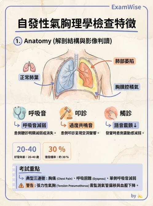 專師 - 氣胸 - AI 圖文解析預覽