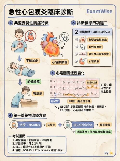 專師 - 心包膜與心肌疾病 - AI 圖文解析預覽