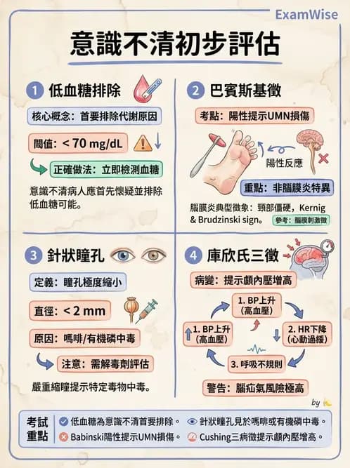 專師 - 腦神經檢查與神經學評估 - AI 圖文解析預覽