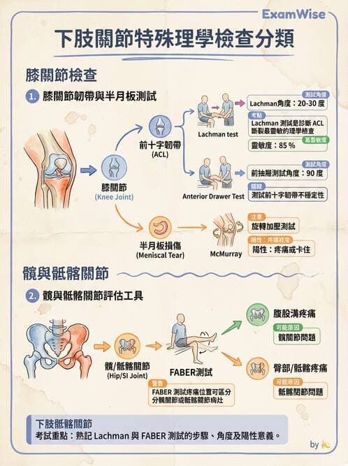 專師 - 膝關節與下肢運動傷害 - AI 圖文解析預覽