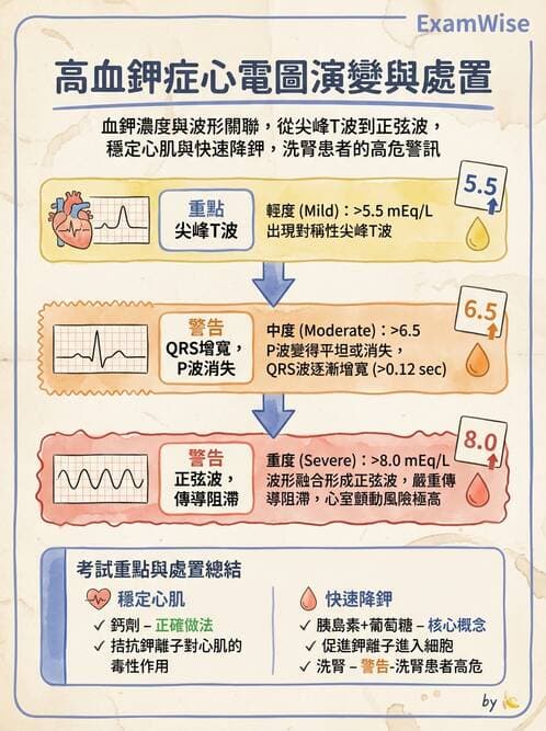 專師 - 透析治療 - AI 圖文解析預覽
