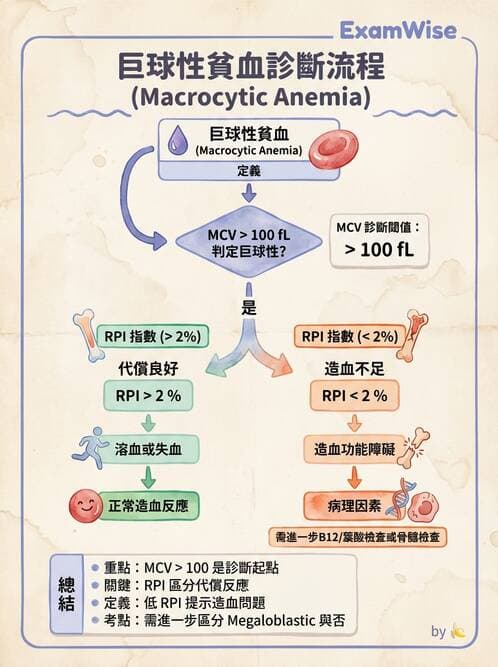專師 - 血液疾病 - AI 圖文解析預覽