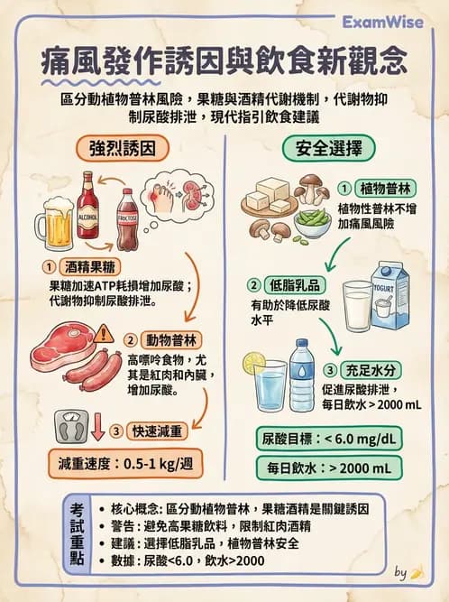 營養 - 骨骼與關節疾病 - AI 圖文解析預覽