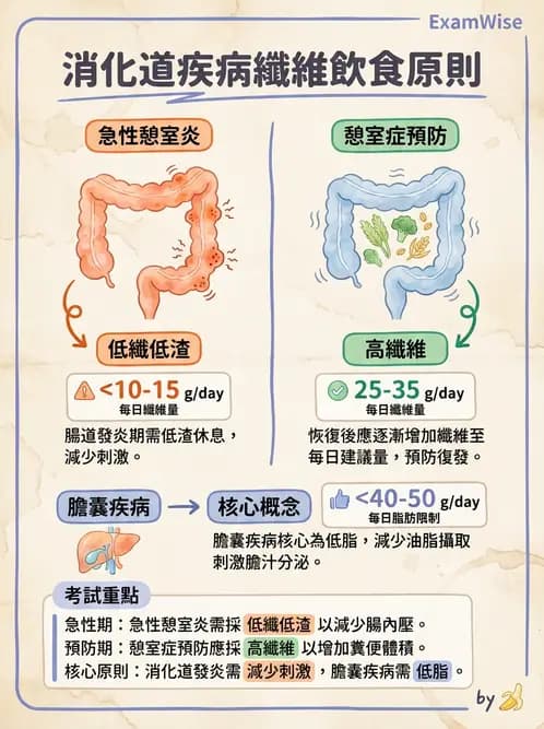 營養 - 腸胃道疾病 - AI 圖文解析預覽