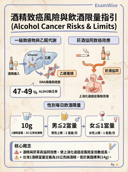 營養 - 癌症營養 - AI 圖文解析預覽