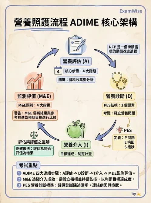 營養 - 營養評估與照護程序 - AI 圖文解析預覽