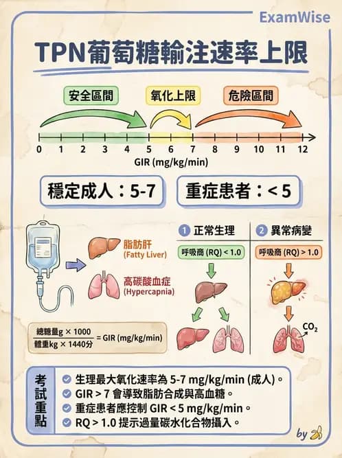營養 - 營養支持 - AI 圖文解析預覽