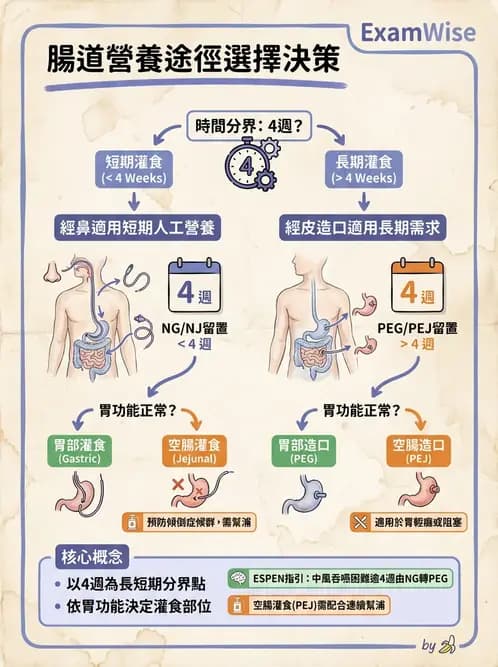營養 - 營養支持 - AI 圖文解析預覽