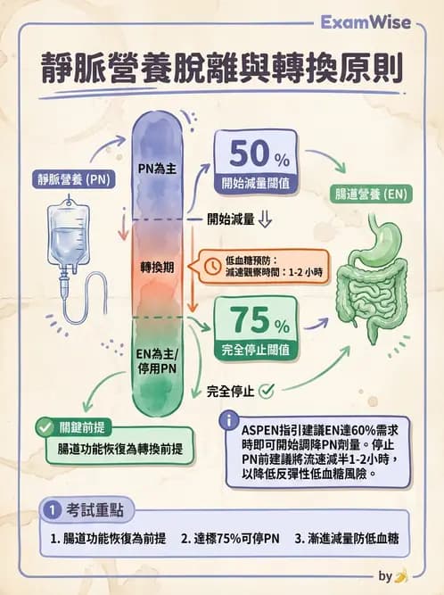 營養 - 營養支持 - AI 圖文解析預覽