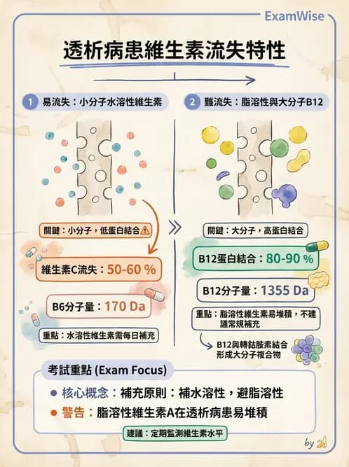 營養 - 透析治療飲食管理 - AI 圖文解析預覽