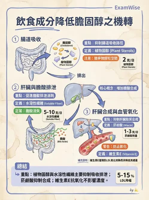 營養 - 心臟衰竭、移植與血脂管理 - AI 圖文解析預覽