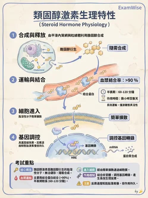 營養 - 內分泌與代謝生理學 - AI 圖文解析預覽