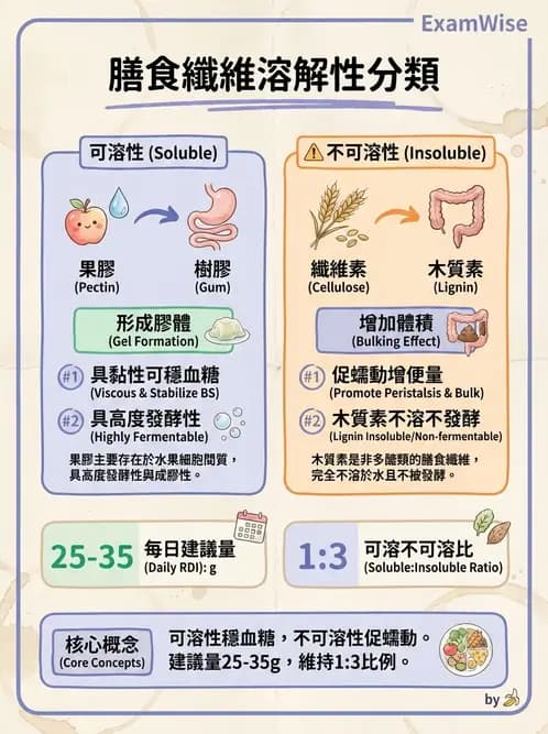 營養 - 醣類結構與膳食纖維 - AI 圖文解析預覽