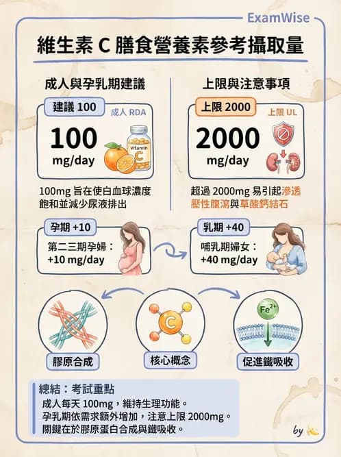 營養 - 維生素C與其他水溶性維生素 - AI 圖文解析預覽
