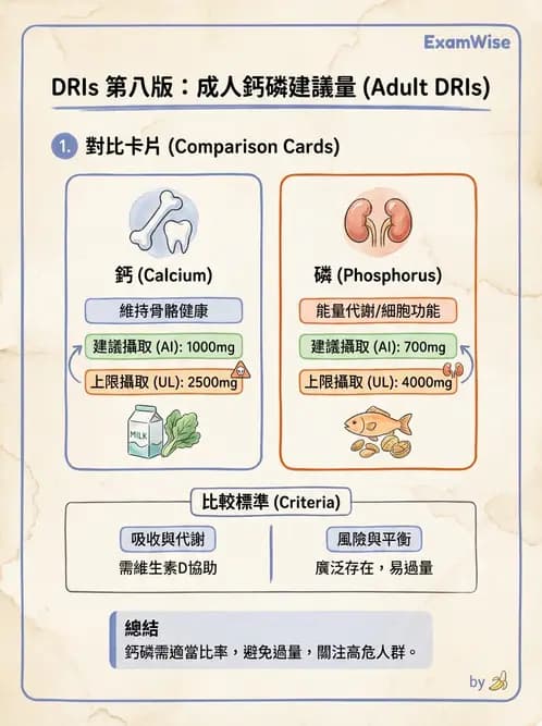 營養 - 巨量礦物質營養素 - AI 圖文解析預覽
