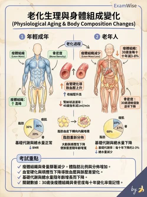 營養 - 兒童青少年與老年營養 - AI 圖文解析預覽