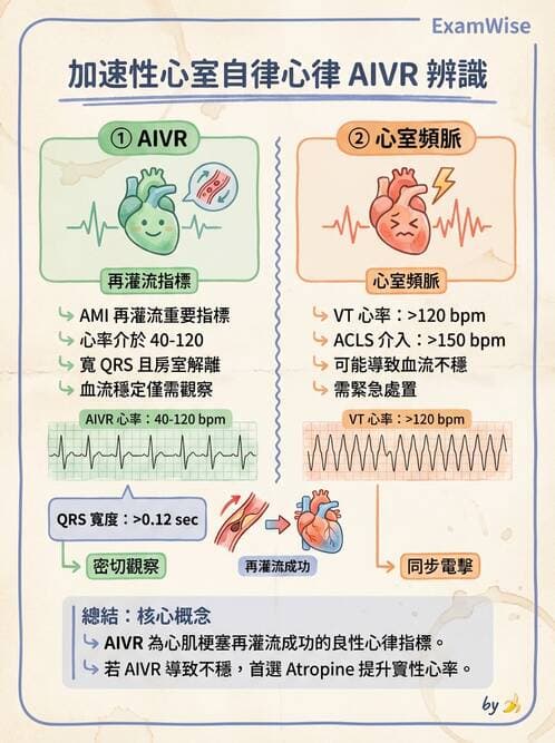 專師 - 心律不整與ECG判讀 - AI 圖文解析預覽