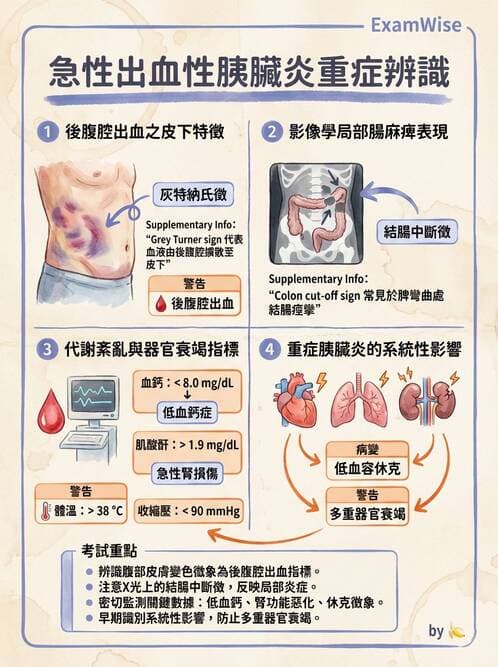 專師 - 膽道與胰臟 - AI 圖文解析預覽