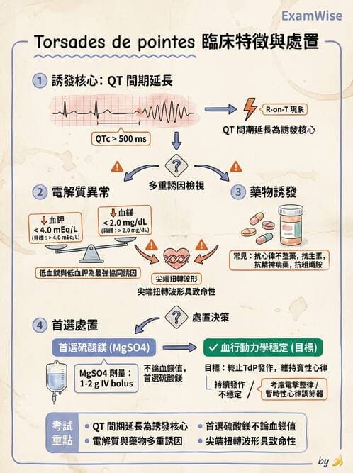 專師 - 心律不整與ECG判讀 - AI 圖文解析預覽
