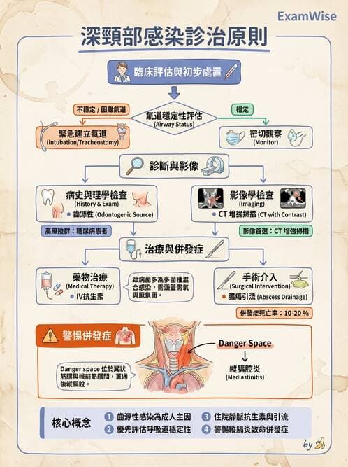 專師 - 頭頸腫瘤與甲狀腺 - AI 圖文解析預覽