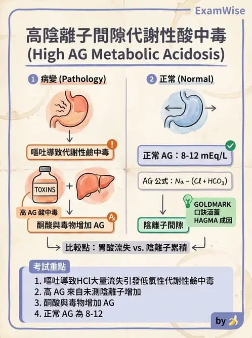 專師 - 酸鹼平衡 - AI 圖文解析預覽