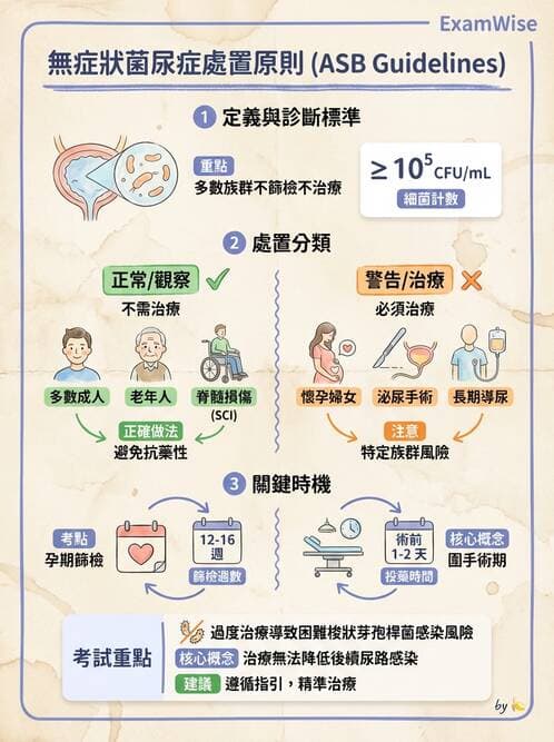 專師 - 陰囊與泌尿急症 - AI 圖文解析預覽
