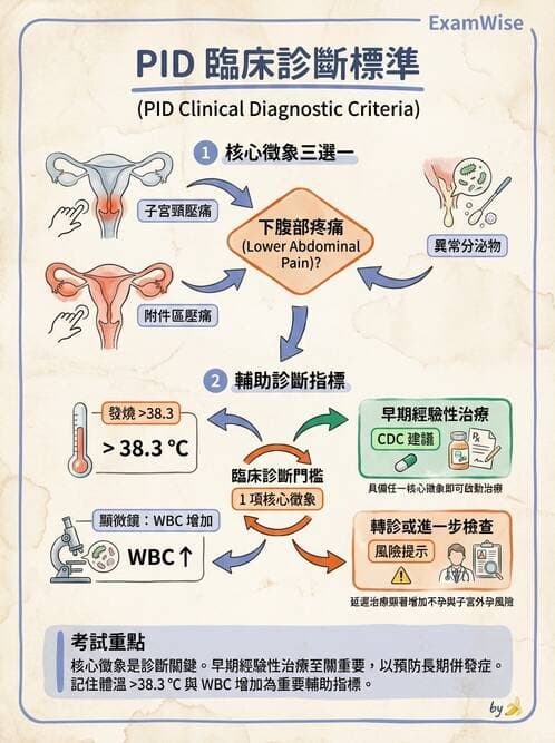 專師 - 泌尿道感染 - AI 圖文解析預覽
