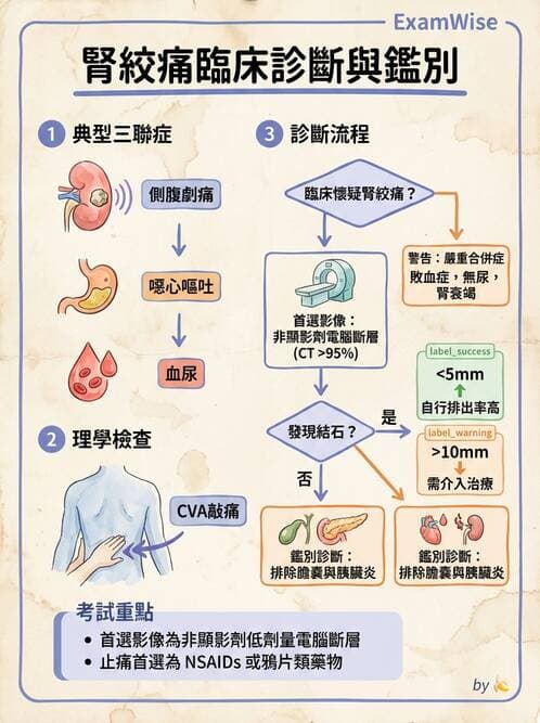 專師 - 泌尿道結石 - AI 圖文解析預覽