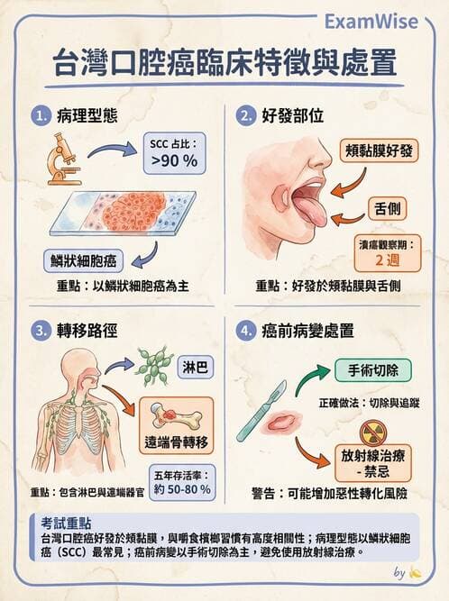 專師 - 肺癌與消化道癌 - AI 圖文解析預覽