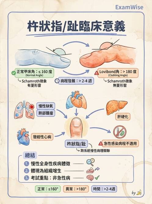 專師 - 肺栓塞與其他肺疾 - AI 圖文解析預覽