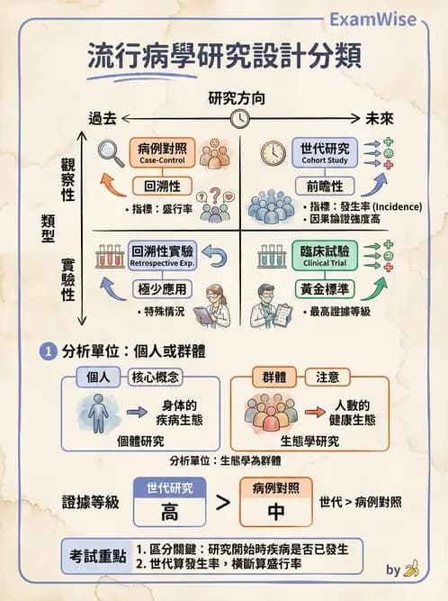 營養 - 流行病學與生物統計 - AI 圖文解析預覽