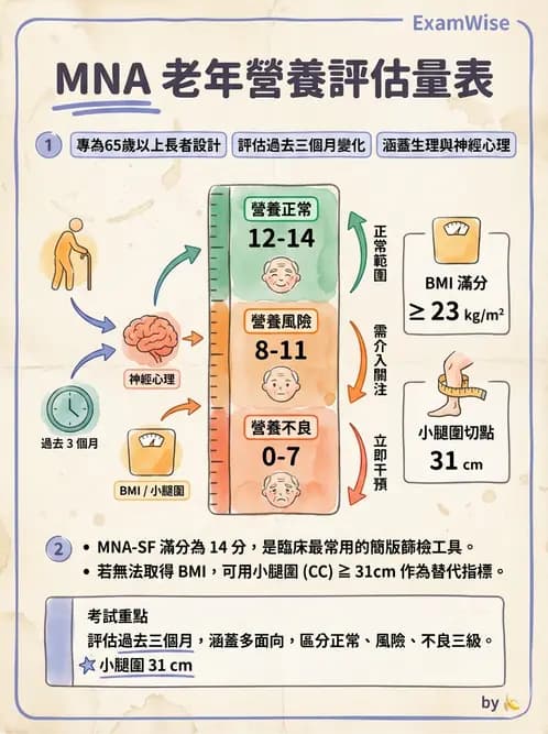 營養 - 營養評估與照護程序 - AI 圖文解析預覽