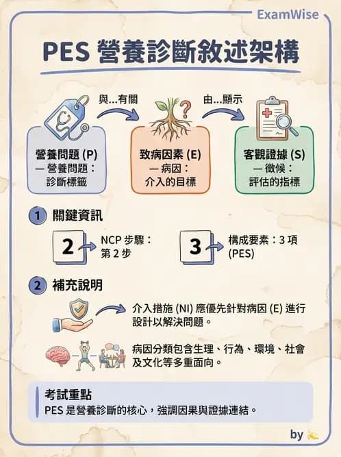 營養 - 營養評估與照護程序 - AI 圖文解析預覽