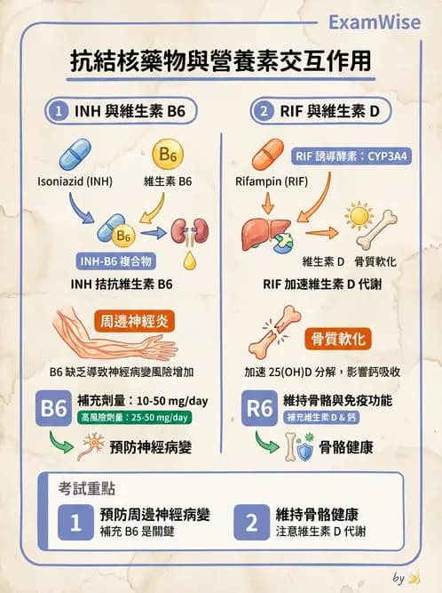 營養 - 藥物與營養素交互作用 - AI 圖文解析預覽