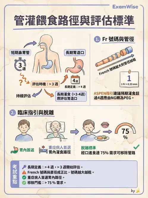 營養 - 營養支持 - AI 圖文解析預覽