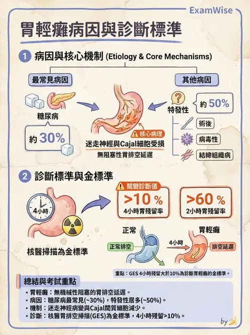 營養 - 腸胃道疾病 - AI 圖文解析預覽