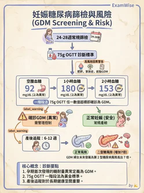 營養 - 糖尿病與代謝症候群 - AI 圖文解析預覽