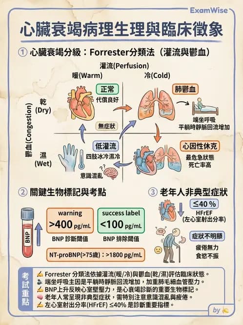 營養 - 心臟衰竭、移植與血脂管理 - AI 圖文解析預覽