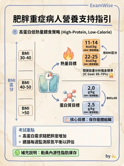 營養 - 重症一般營養照護 - AI 圖文解析預覽