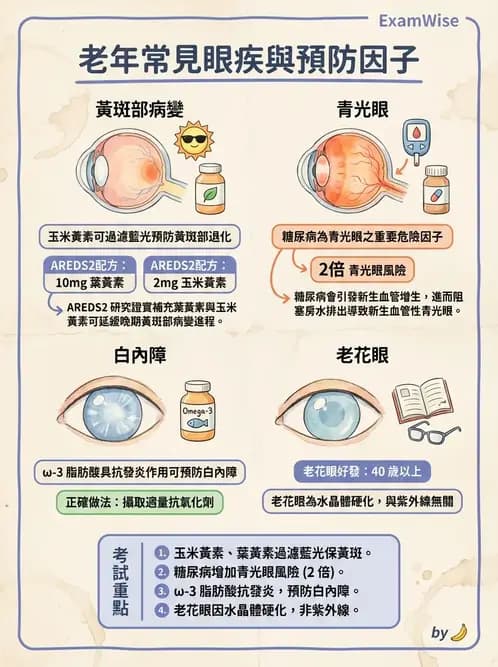 營養 - 老人營養與長期照護 - AI 圖文解析預覽