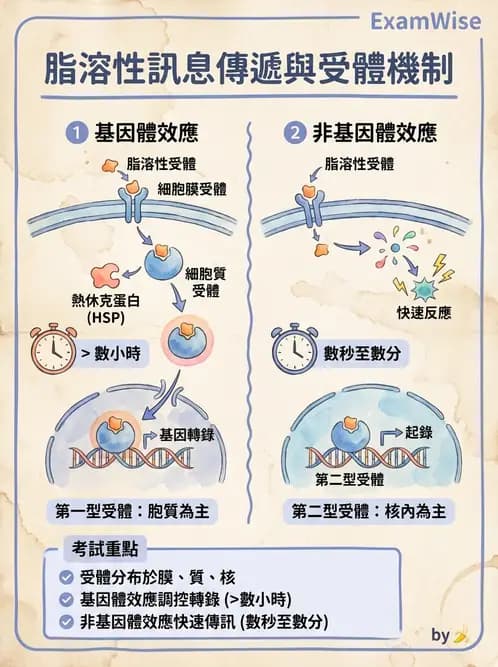 營養 - 細胞生理學 - AI 圖文解析預覽